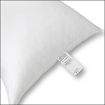 Disposable Pillow